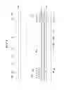 Fig. 46 - Liquid crystal display and manufacturing method thereof