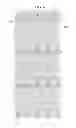 Fig. 48 - Liquid crystal display and manufacturing method thereof