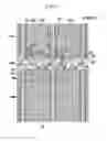 Fig. 02 - Liquid crystal display and manufacturing method thereof