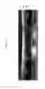 Fig. 32 - Liquid crystal display and manufacturing method thereof