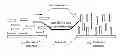 Fig. 01 - Negative optical compensation assembly and method for preparing the same