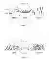 Fig. 02 - Negative optical compensation assembly and method for preparing the same