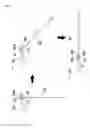 Fig. 05 - GLASSES HAVING REPLACEABLE LEG USING MAGNETS