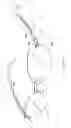 Fig. 10 - Electronic eyeglass frame