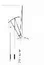 Fig. 04 - Tunable achromatizing optical apparatus, methods, and applications