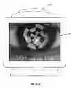 Fig. 29 - Full-eye illumination ocular surface imaging of an ocular tear film for determining tear film thickness and/or providing ocular topography