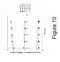 Fig. 11 - Quantifying ocular counter roll