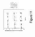 Fig. 12 - Quantifying ocular counter roll