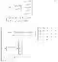 Fig. 14 - Exposure apparatus and method of manufacturing device