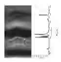 Fig. 28 - Nanoporous gold nanoparticles as high-payload molecular cargos, photothermal/photodynamic therapeutic agents, and ultrahigh surface-to-volume plasmonic sensors