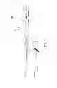 Fig. 02 - Optical microscope and optical instrumentation
