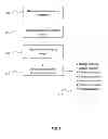 Fig. 09 - OPTICAL EMISSION SPECTROSCOPIC (OES) INSTRUMENT WITH AUTOMATIC TOP AND BOTTOM SLIT CURTAINS