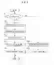 Fig. 03 - Device capable of reading plural documents, method of controlling the device, and program
