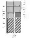 Fig. 32 - Holographic wide angle display
