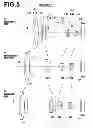 Fig. 06 - Zoom lens and imaging apparatus