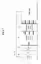 Fig. 03 - Circuit for preventing static electricity of a display panel and display device including the same
