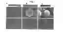 Fig. 05 - Carbon particles