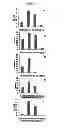 Fig. 08 - Carbon particles