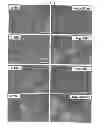 Fig. 13 - Carbon particles
