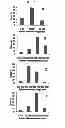 Fig. 14 - Carbon particles
