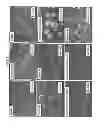 Fig. 16 - Carbon particles