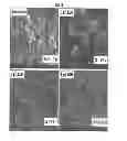 Fig. 17 - Carbon particles