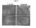 Fig. 20 - Carbon particles