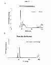 Fig. 25 - Carbon particles