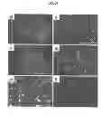 Fig. 31 - Carbon particles
