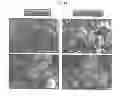 Fig. 35 - Carbon particles