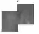 Fig. 53 - Carbon particles