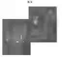 Fig. 55 - Carbon particles