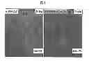 Fig. 62 - Carbon particles