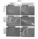 Fig. 65 - Carbon particles