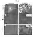 Fig. 67 - Carbon particles