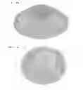 Fig. 03 - Low voltage security lighting systems for perimeter fences