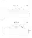 Fig. 04 - Light source circuit unit, illuminator, and display