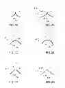 Fig. 04 - Indirect direct troffer luminaire