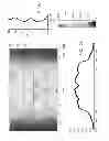 Fig. 24 - Indirect direct troffer luminaire