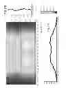 Fig. 32 - Indirect direct troffer luminaire
