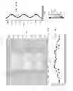 Fig. 37 - Indirect direct troffer luminaire