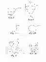 Fig. 04 - LIGHT MANAGEMENT FILM