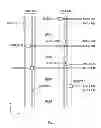 Fig. 06 - SEMICONDUCTOR DEVICE HAVING MEMORY CELL ARRAY DIVIDED INTO PLURAL MEMORY MATS