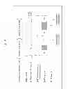 Fig. 10 - Variable resistance nonvolatile memory device and method of performing the forming operation