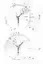 Fig. 04 - Display of a physical magnitude on a timepiece display base