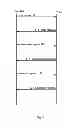 Fig. 02 - Method and device for mobile data offload