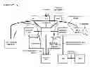 Fig. 01 - Feature peer network representations and scalable feature peer network management