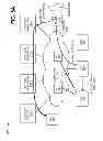 Fig. 06 - Feature peer network representations and scalable feature peer network management