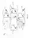 Fig. 03 - Method and apparatus for packet loss rate-based codec adaptation