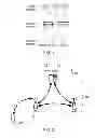 Fig. 02 - Activation of supplementary transmission unit